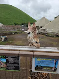 伊豆シャボテン動物公園に投稿された画像（2026/6/15）