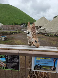 伊豆シャボテン動物公園に投稿された画像（2026/6/15）