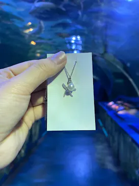 しながわ水族館に投稿された画像（2026/6/15）