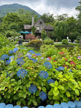箱根ガラスの森美術館に投稿された画像（2026/6/15）