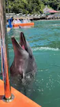 下田海中水族館に投稿された画像（2026/6/15）