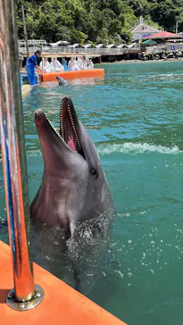 下田海中水族館に投稿された画像（2026/6/15）