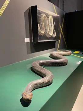 特別展「超危険生物展　科学で挑む生き物の本気」に投稿された画像（2026/6/15）