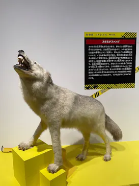 特別展「超危険生物展　科学で挑む生き物の本気」に投稿された画像（2026/6/15）