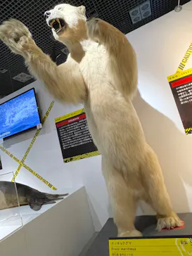 特別展「超危険生物展　科学で挑む生き物の本気」に投稿された画像（2026/6/15）