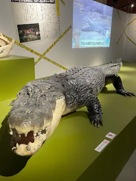 特別展「超危険生物展　科学で挑む生き物の本気」に投稿された画像（2026/6/15）