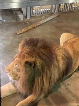 天王寺動物園に投稿された画像（2026/6/15）