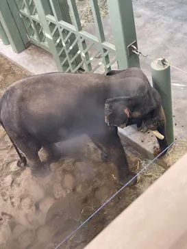 天王寺動物園に投稿された画像（2026/6/15）