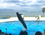 マリンワールド海の中道に投稿された画像（2026/6/16）