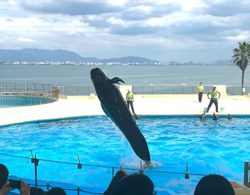 マリンワールド海の中道に投稿された画像（2026/6/15）