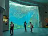 のとじま水族館に投稿された画像（2026/6/16）