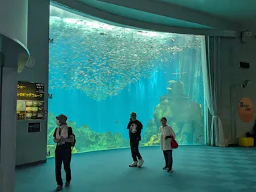 のとじま水族館に投稿された画像（2026/6/16）
