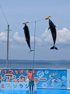 のとじま水族館に投稿された画像（2026/6/16）