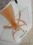 寄生獣展に投稿された画像（2026/6/16）