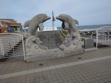 アクアワールド茨城県大洗水族館に投稿された画像（2026/6/16）