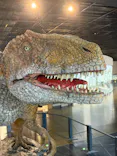 福井県立恐竜博物館に投稿された画像（2026/6/16）
