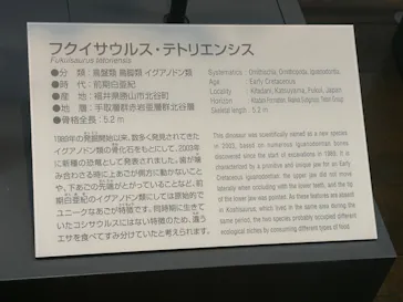 福井県立恐竜博物館に投稿された画像（2026/6/16）
