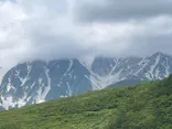 白馬岩岳マウンテンリゾートに投稿された画像（2026/6/16）