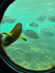 串本海中公園水族館に投稿された画像（2026/6/16）