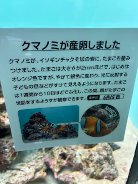 葛西臨海水族園に投稿された画像（2026/6/16）