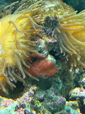葛西臨海水族園に投稿された画像（2026/6/16）