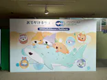 アクアワールド茨城県大洗水族館に投稿された画像（2026/6/16）