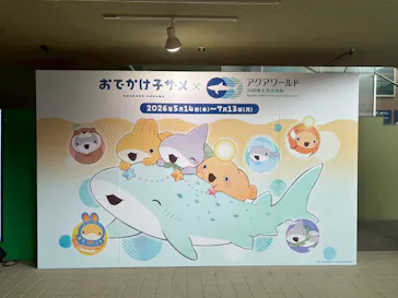 アクアワールド茨城県大洗水族館に投稿された画像（2026/6/16）