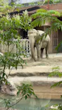 名古屋市東山動植物園に投稿された画像（2026/6/16）