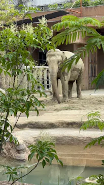 名古屋市東山動植物園に投稿された画像（2026/6/16）