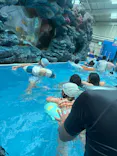 スパリゾートハワイアンズに投稿された画像（2026/6/16）