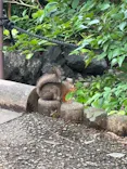 名古屋市東山動植物園に投稿された画像（2026/6/16）