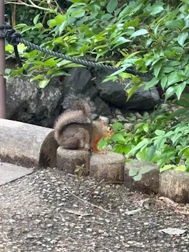 名古屋市東山動植物園に投稿された画像（2026/6/16）