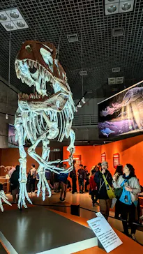 特別展「大絶滅展―生命史のビッグファイブ」に投稿された画像（2026/6/16）