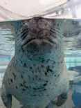 京都水族館に投稿された画像（2026/6/17）