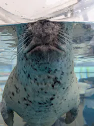 京都水族館に投稿された画像（2026/6/16）