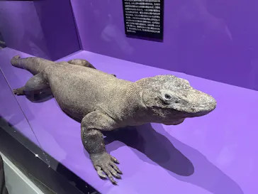 特別展「超危険生物展　科学で挑む生き物の本気」に投稿された画像（2026/6/16）