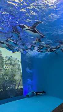 サンシャイン水族館に投稿された画像（2026/6/16）
