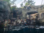 環境水族館アクアマリンふくしまに投稿された画像（2026/6/17）
