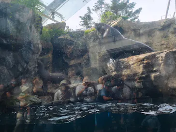 環境水族館アクアマリンふくしまに投稿された画像（2026/6/16）