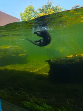 環境水族館アクアマリンふくしまに投稿された画像（2026/6/16）
