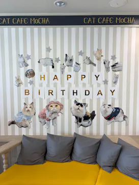 猫カフェモカ 京都河原町店に投稿された画像（2026/6/16）