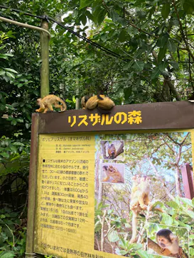 石垣やいま村に投稿された画像（2026/6/17）