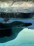 名古屋港水族館に投稿された画像（2026/6/17）