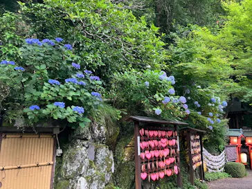 箱根湯本温泉 天成園に投稿された画像（2026/6/17）