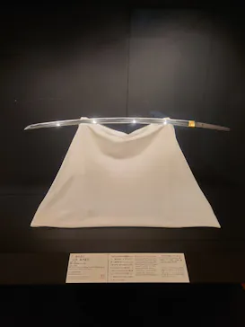 東京国立博物館に投稿された画像（2026/6/17）
