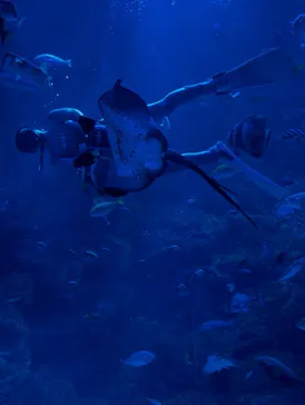 京都水族館に投稿された画像（2026/6/17）