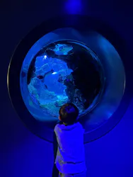 京都水族館に投稿された画像（2026/6/17）