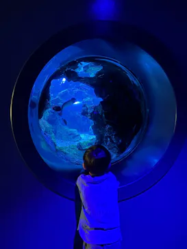 京都水族館に投稿された画像（2026/6/17）