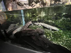 京都水族館×ニデック京都タワーに投稿された画像（2026/6/17）