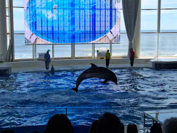 アクアワールド茨城県大洗水族館に投稿された画像（2026/6/17）